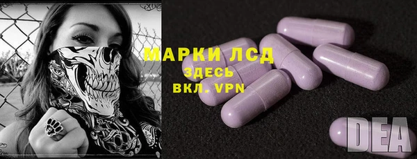 эйфоретик Алзамай